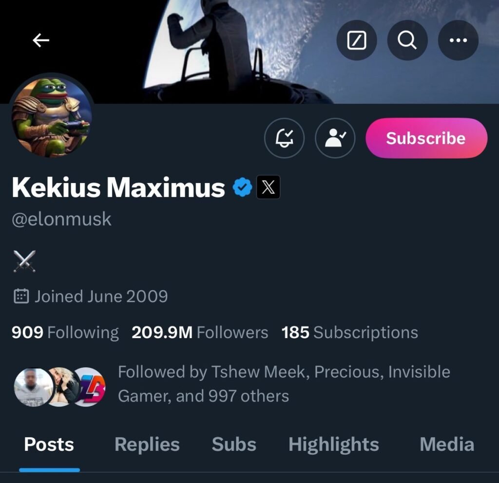 Elon Musk briefly changed his X profile name and display photo to Kekius Maximus. Source: Vision4theBlind

