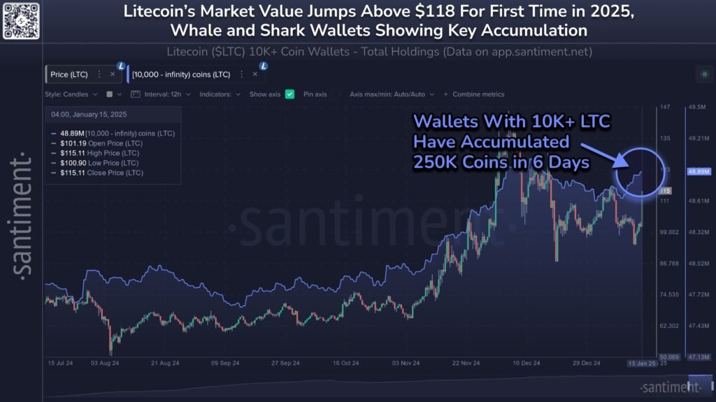 Litecoin’s whale and shark token holdings vs. LTC price. Source: Santiment

