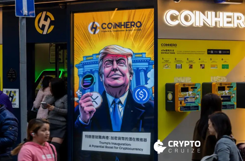 Trump Memecoins Spark Surge in Crypto Interest and Google Searches