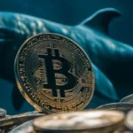 Bitcoin Whales