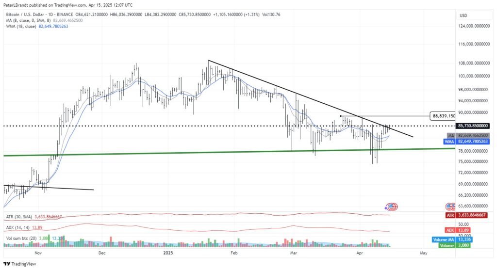 BTC/USD 1-day chart. Source: Peter Brandt/X