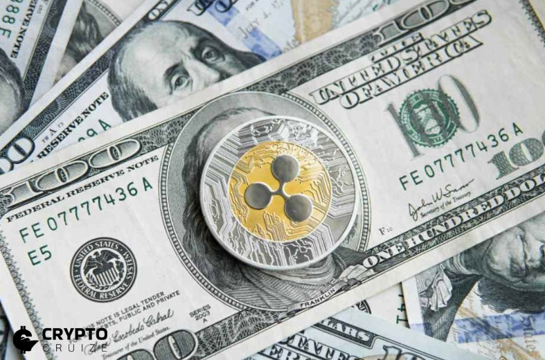 XRP’s Daily Transfer Volume Surges After Trump’s Re-Election