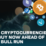 Bull Run