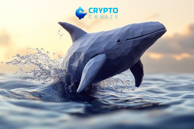 Polygon Whale Resurfaces, Fuels Buzz Around XYZVerse’s Explosive Potential