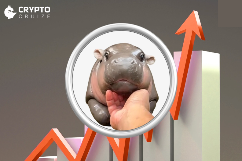 Moo Deng Surges 530% in a Week as Meme Coins Outperform the Market Amid ‘Macro Hopium’