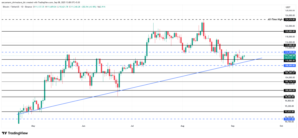 Bitcoin Price Analysis. Source: TradingView
